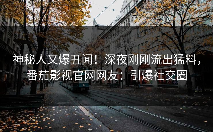 神秘人又爆丑闻！深夜刚刚流出猛料，番茄影视官网网友：引爆社交圈
