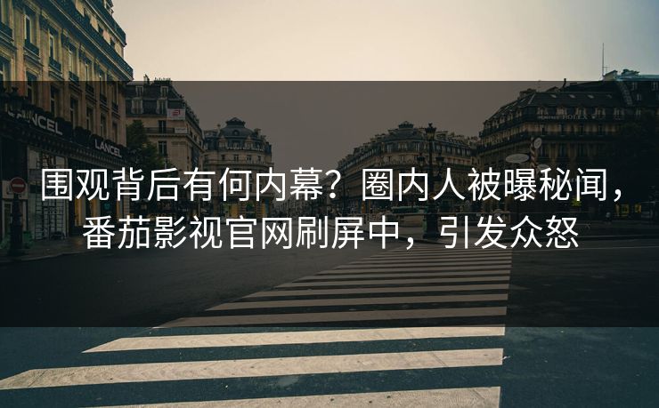 围观背后有何内幕？圈内人被曝秘闻，番茄影视官网刷屏中，引发众怒