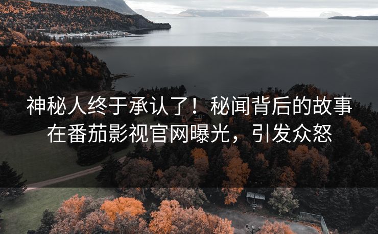 神秘人终于承认了！秘闻背后的故事在番茄影视官网曝光，引发众怒