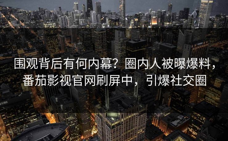 围观背后有何内幕？圈内人被曝爆料，番茄影视官网刷屏中，引爆社交圈