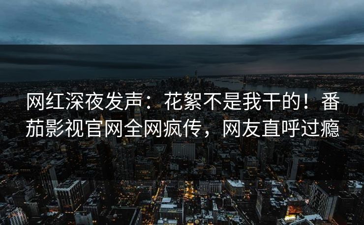 网红深夜发声：花絮不是我干的！番茄影视官网全网疯传，网友直呼过瘾